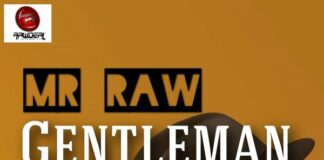 AUDIO: Mr Raw ft. Phyno – Gentleman || Mp3 Download Mr Raw