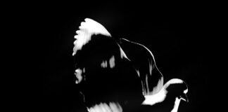 AUDIO: Pop Smoke ft. Davido– Tsunami || Mp3 Download Pop Smoke