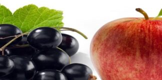 Australia Apple And Blackcurrant, NAFDAC Warnings Against Them Australian Apple, Blackcurrant