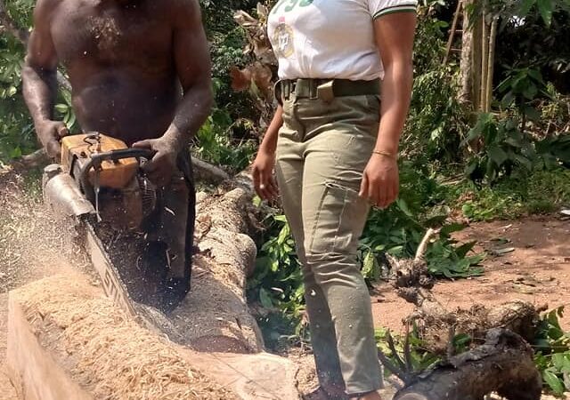 Nigerian Lady celebrates her Sawyer dad for sponsoring her education